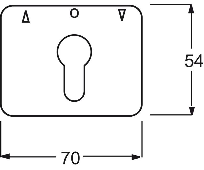 Busch-Jaeger Zentralscheibe sws 1755 PZ-24G-101-1