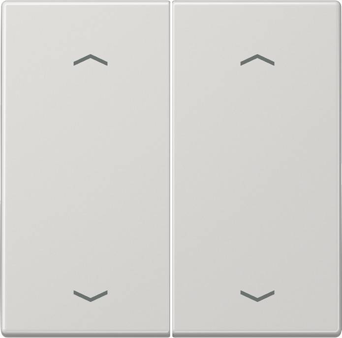 Jung Wippe Symbole lgr LS 995 MP LG-0