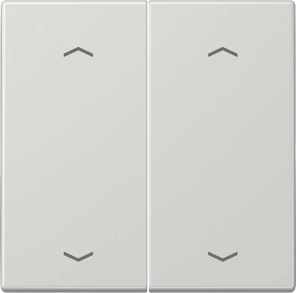 Jung Wippe Symbole lgr LS 995 MP LG