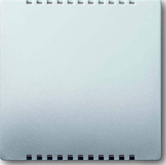 Busch-Jaeger Zentralscheibe eds 6541-866-0