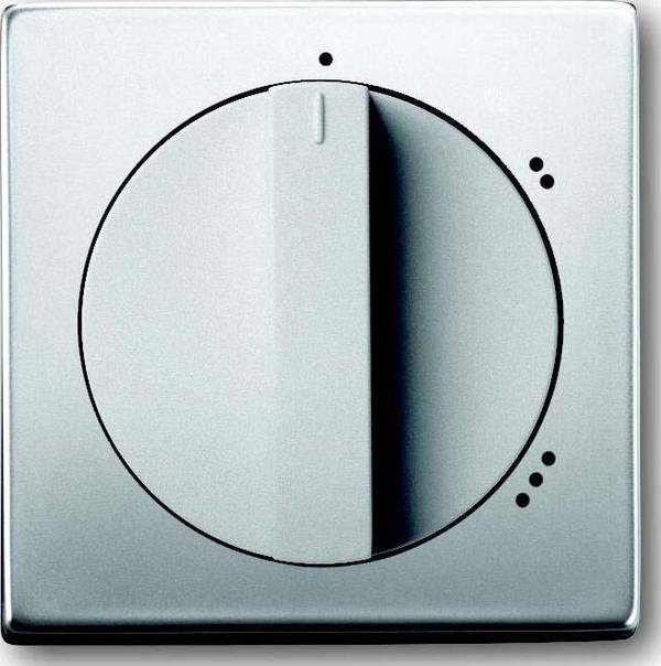 Busch-Jaeger Zentralscheibe eds 2542 DR/02-866