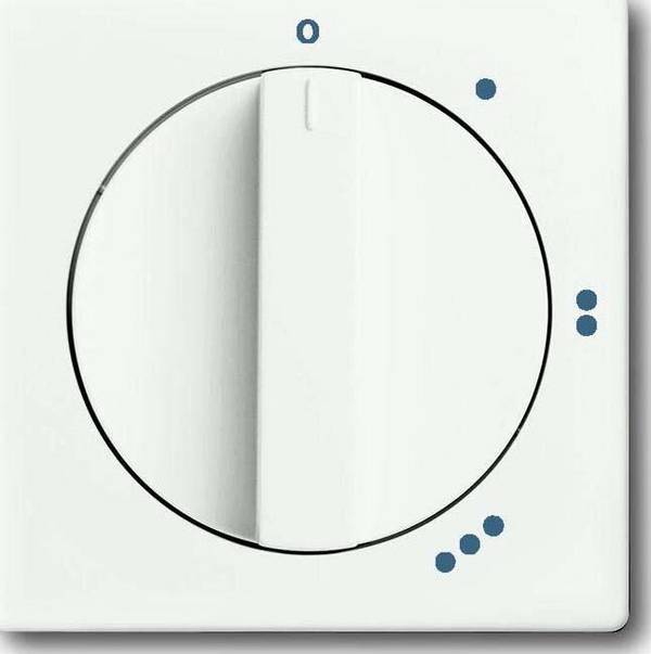 Busch-Jaeger Zentralscheibe stws mt 2542 DR/01-88