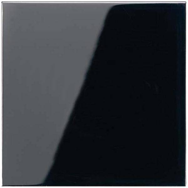 Jung Funk-Wandsender sw ENO LS 990 SW