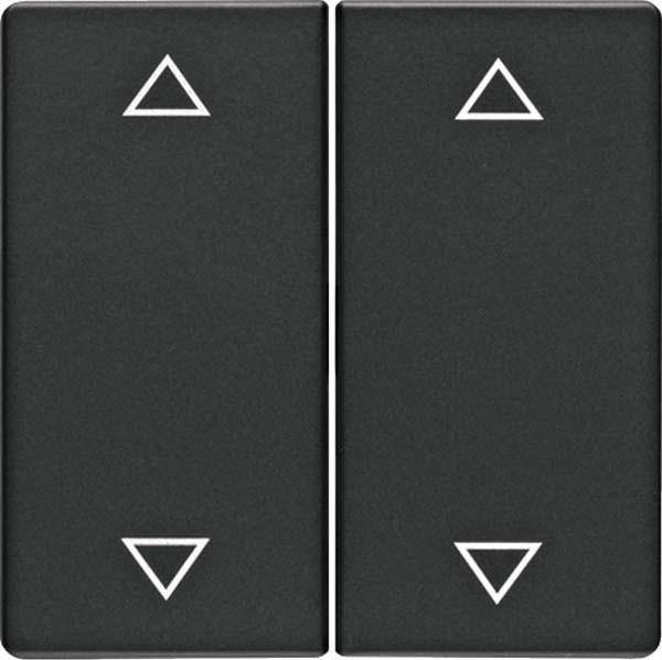Berker Wippe 2fach mit Aufdruck Symbol Pfeile Q.1/Q.3 anthrazit, samt, Wippe, Anthrazit, Duroplast, Q.1/Q.3, 10 Stück(e)-0