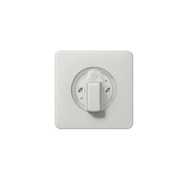 Jung Abdeckung CD 1541 LG