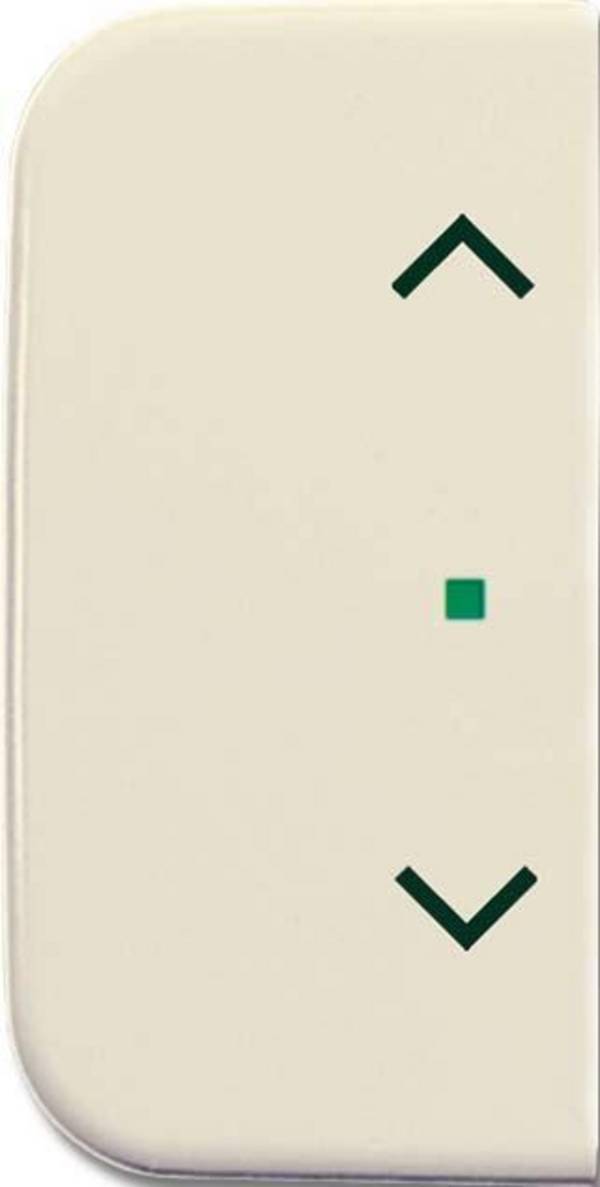 Busch-Jaeger Wippe 1-fach, Symbol Licht 6232-20-2