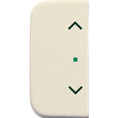 Busch-Jaeger Wippe 1-fach, Symbol Licht 6232-20-2-0