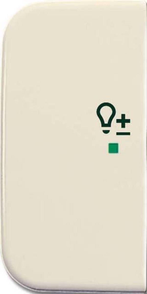 Busch-Jaeger Wippe 1-fach, Symbol Licht 6234-21-2