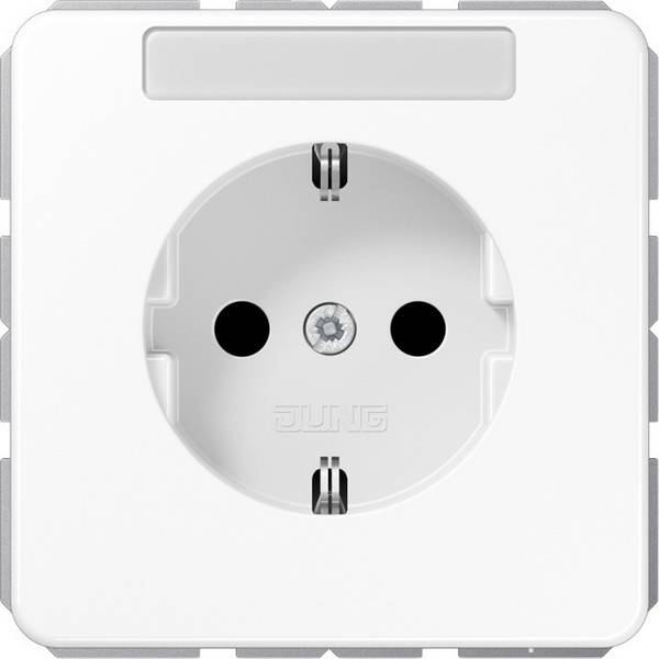 Jung SCHUKO-Steckdose 16A 250V CD 1520 BFNA WW