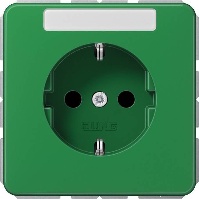 Jung SCHUKO-Steckdose CD 1520 BFKINA GN-0