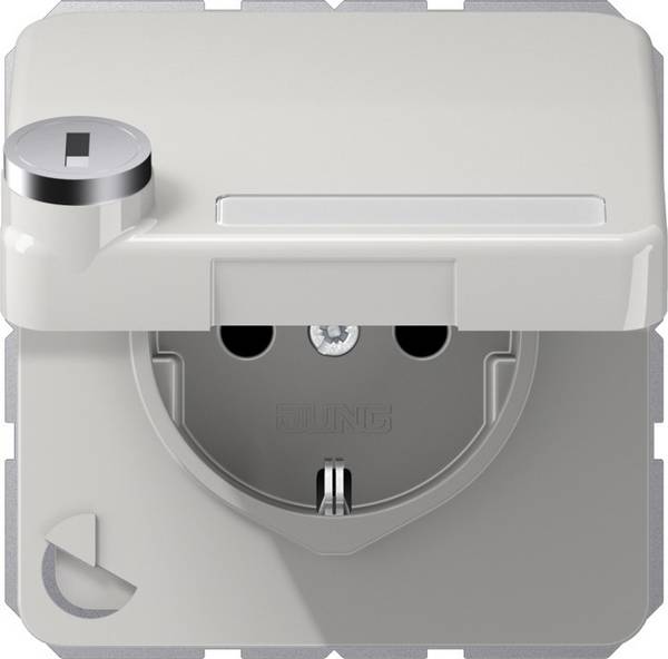 Jung SCHUKO-Steckdose 16A 250V CD 1520 NAKLSL LG