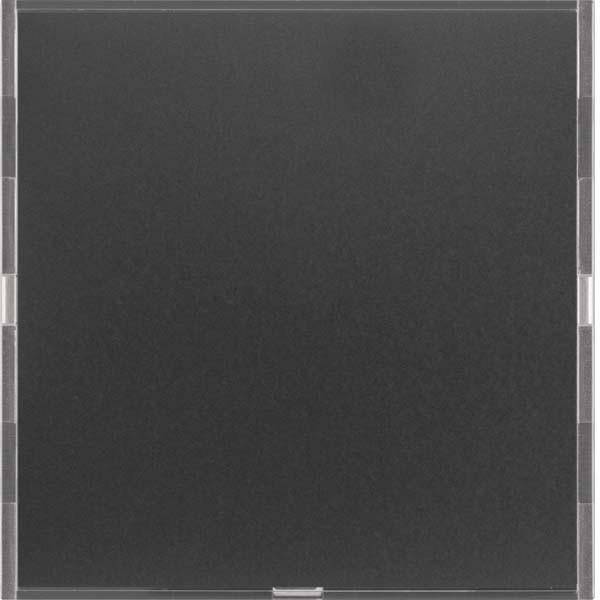 Berker Tastsensor 1f. anth/alu 80161785