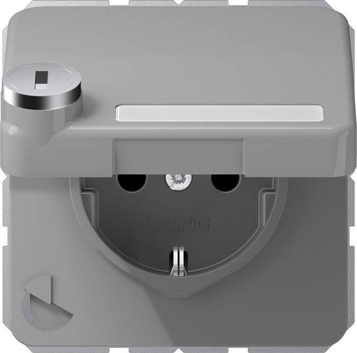 Jung SCHUKO-Steckdose 16A 250V CD 1520 NAKLSL GR-0