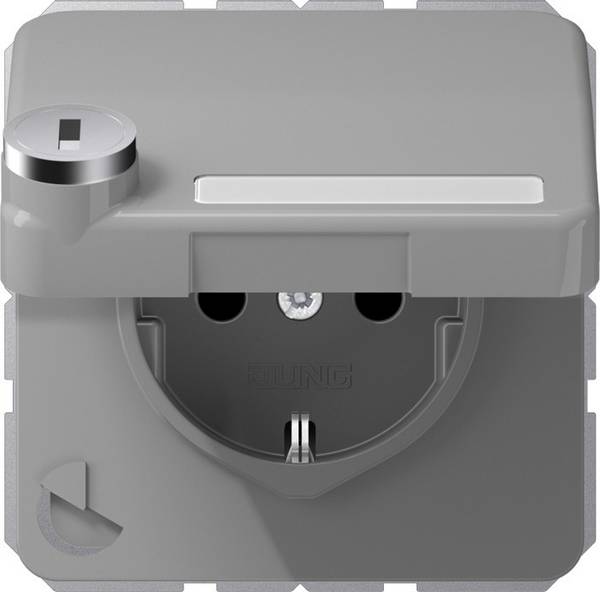 Jung SCHUKO-Steckdose 16A 250V CD 1520 NAKLSL GR