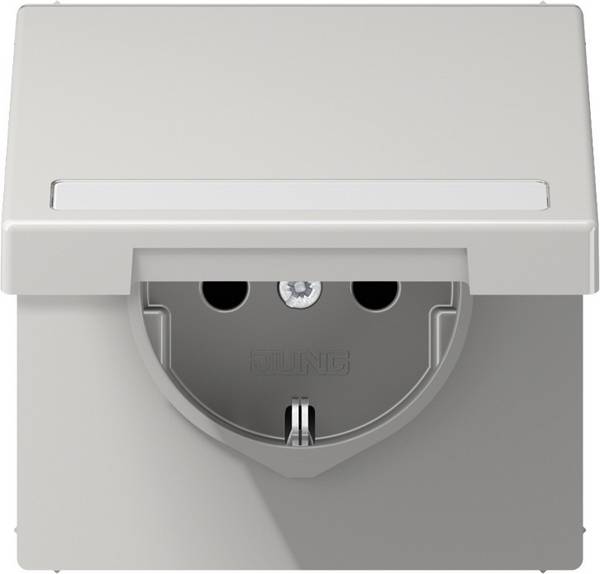 Jung SCHUKO-Steckdose 16 A 250V LS 1520 BFNAKL LG