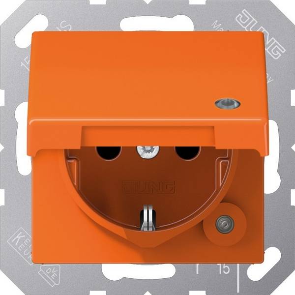 Jung SCHUKO-Steckdose 16 A 250V ABAS 1520 KLKO O
