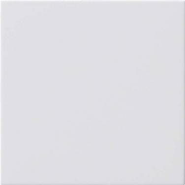 Gira Blindabdeckung rws 810803