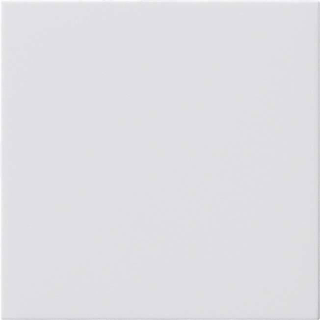 Gira Blindabdeckung rws 810803-0