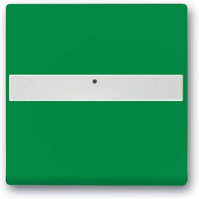 Busch-Jaeger Wippe 1764 NLI-13-82-0
