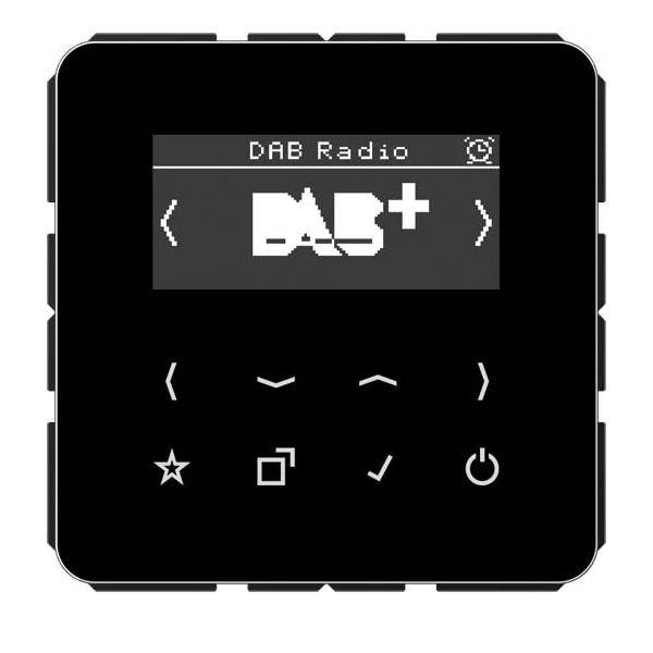 Jung Smart DAB+ Digitalradio DAB CD SW-0