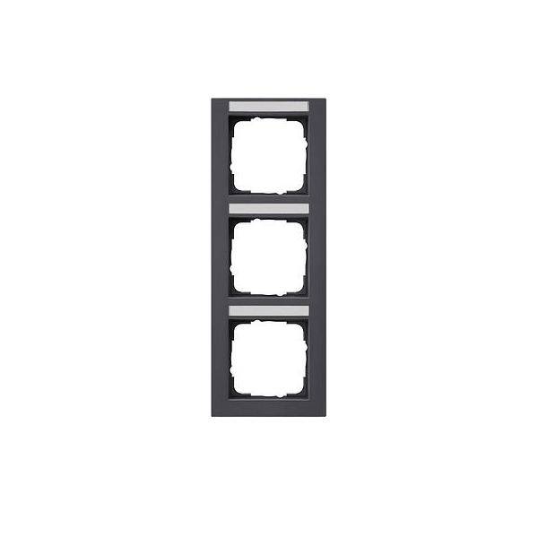 Gira Abdeckrahmen 3f. anth 110323-0