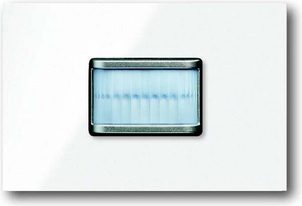 Busch-Jaeger Bewegungsmelder prion 6345-24G-101