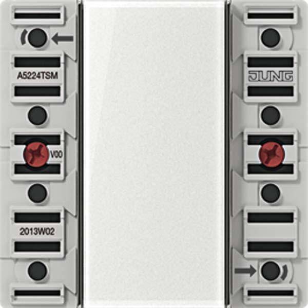 Jung Modul A5224TSM 24V AC/DC-0
