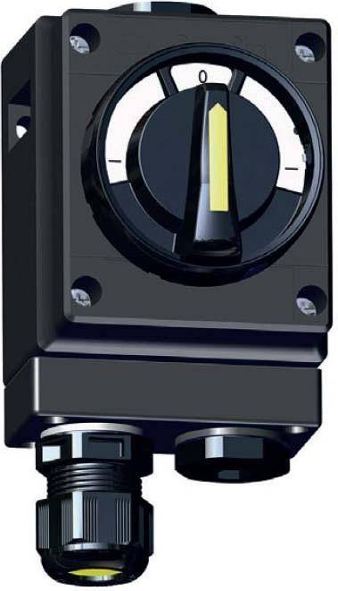 Stahl Wechselschalter 8040/11-V30-035-S-0