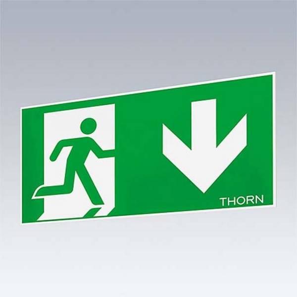Thorn Notlicht-Piktogrammset VOYAGER SI #96236786