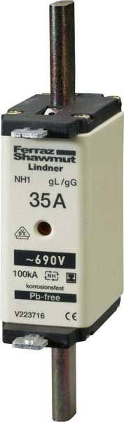 Mersen NH-Sicherungseinsatz SG NH1GG69V100-1-0
