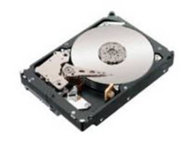 IBM HDD 750GB SATA II EV-DDM 7.2K FOR DS4000