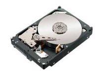 IBM HDD 750GB SATA II EV-DDM 7.2K FOR DS4000-0