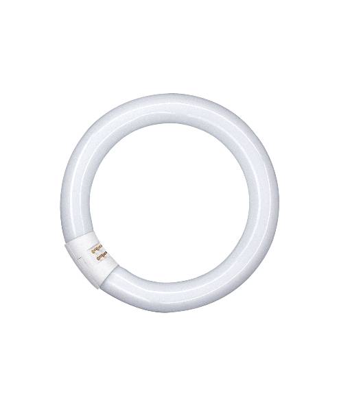OSRAM Lumilux T9 L 40W/840 C G10q 4050300014845-0