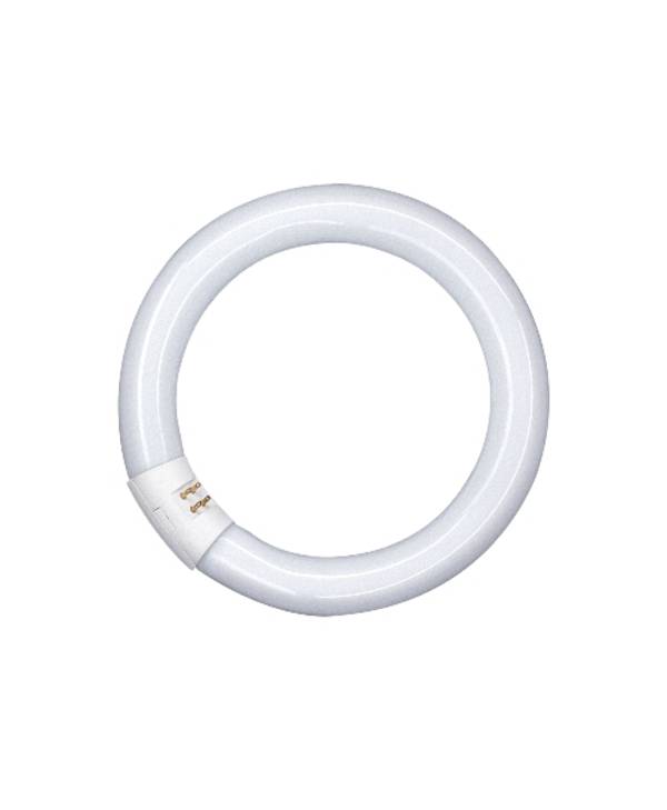 OSRAM Lumilux T9 L 40W/840 C G10q 4050300014845