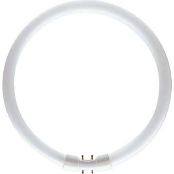 PHILIPS MASTER TL5 Circular 22W/840 2GX13 8711500642219-0