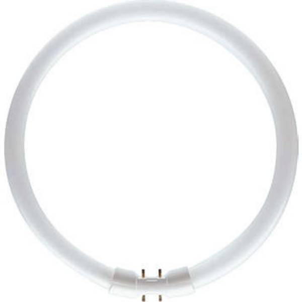 PHILIPS MASTER TL5 Circular 22W/840 2GX13 8711500642219