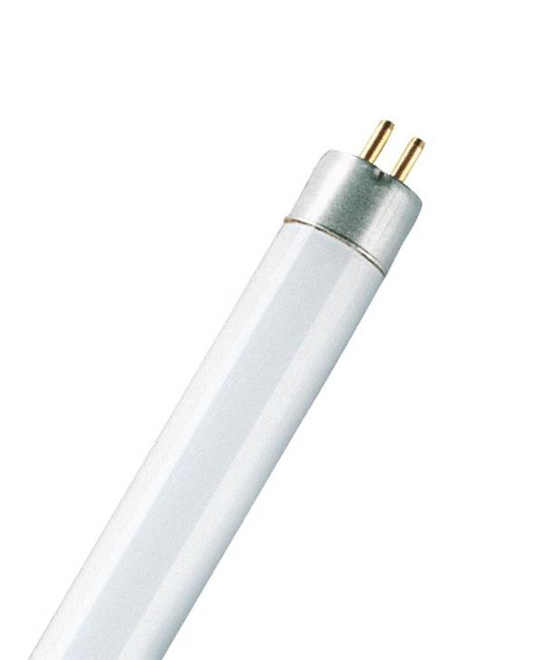 OSRAM Lumilux T5 Short EL L 8W/840 G5 4008321325846