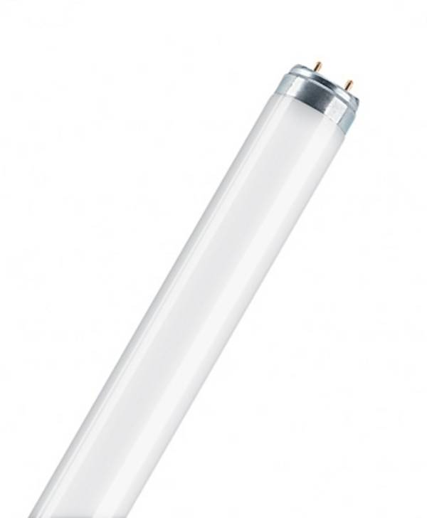 OSRAM Lumilux T8 L 36W/830 G13 4050300517896