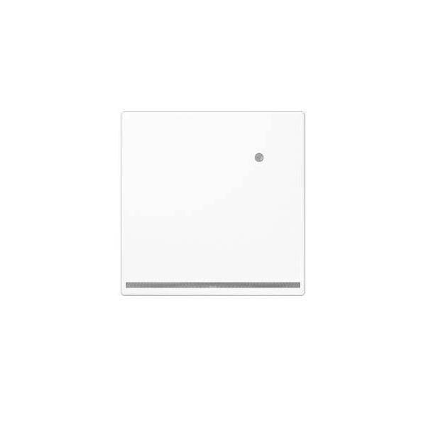 Jung LED-Orientierungslicht LS 1539-O WW LNW-0