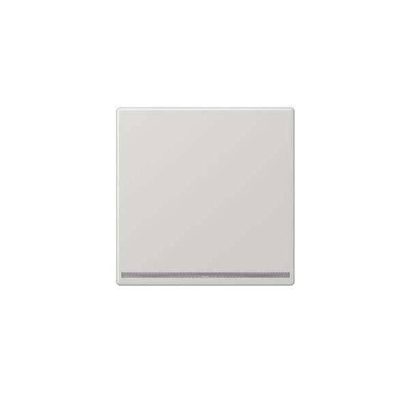 Jung LED-Orientierungslicht LS 1539-OO LG LNW-0