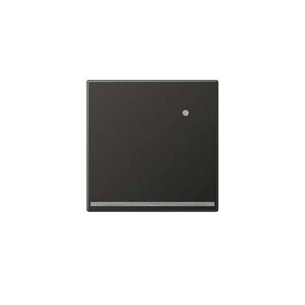 Jung LED-Orientierungslicht AL 1539-O AN LNW