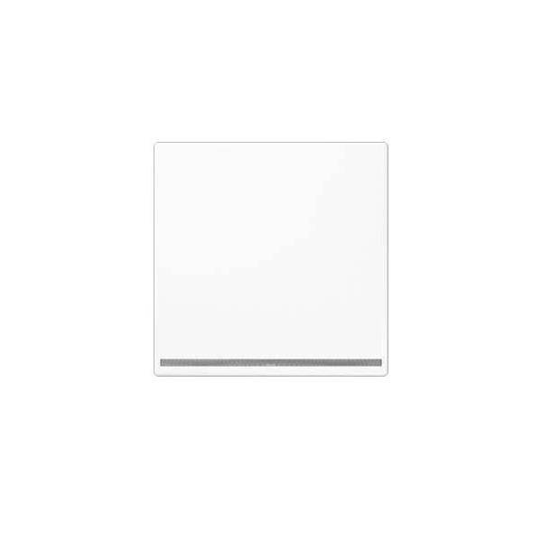 Jung LED-Orientierungslicht LS 1539-OO WW LNW-0