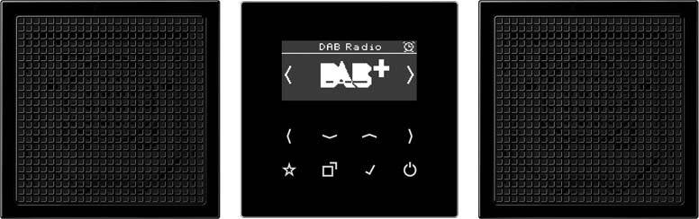 Jung Smart Radio DAB+ DABLS2SW-0