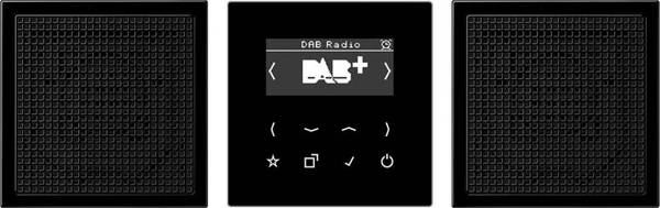 Jung Smart Radio DAB+ DABLS2SW