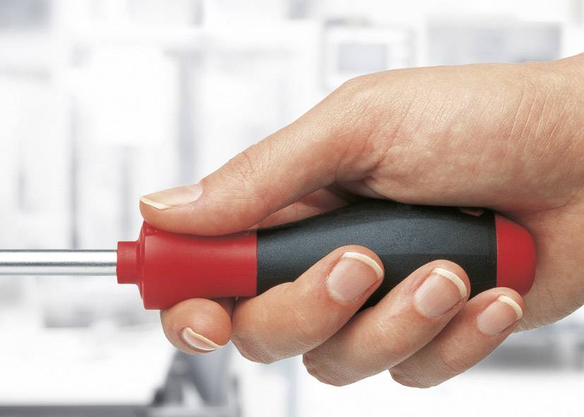 Eine Hand hält einen Schraubendreher mit rotem Griff. Der Hintergrund ist unscharf.
