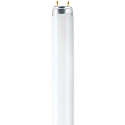 OSRAM LAMPE Lumilux-Lampe 16W wws L 16W/830