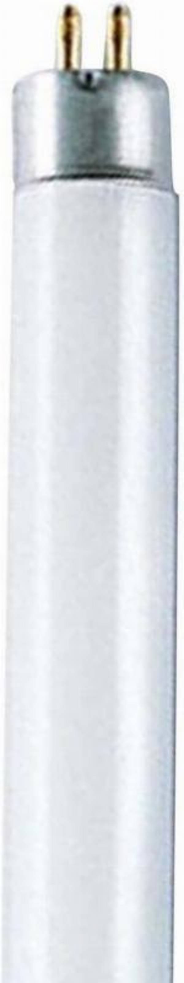 Scharnberger+Hasenbein Leuchtstofflampe T5 44185