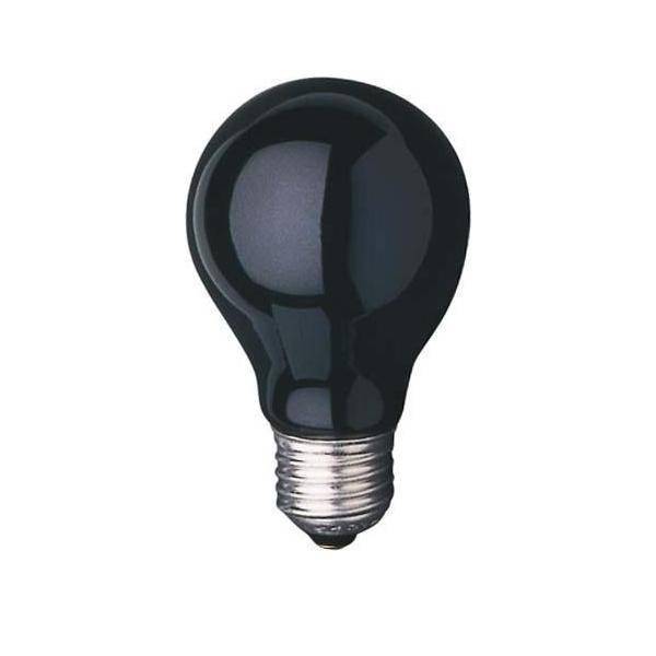 Scharnberger+Hasenbein Schwarzlichtlampe 40882-0