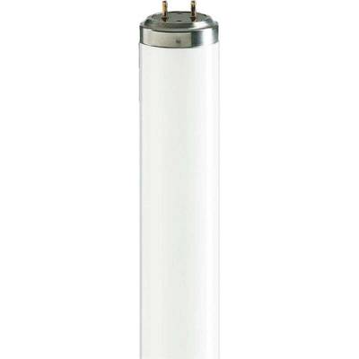25 Stück Philips Lighting Leuchtstofflampe TL-DK 36W/10