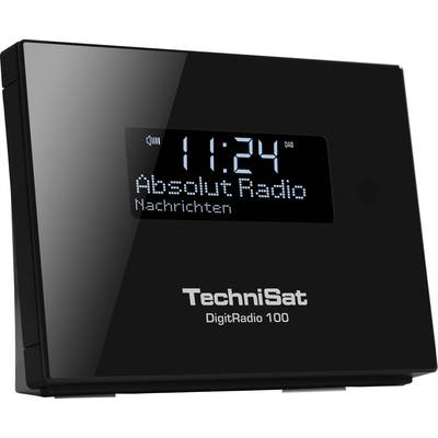 TechniSat Digitalradio DAB+,DAB,UKW DIGITRADIO100